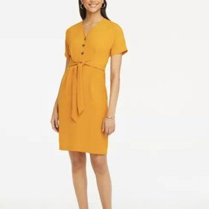 Ann Taylor Button Tie waist Spring dress